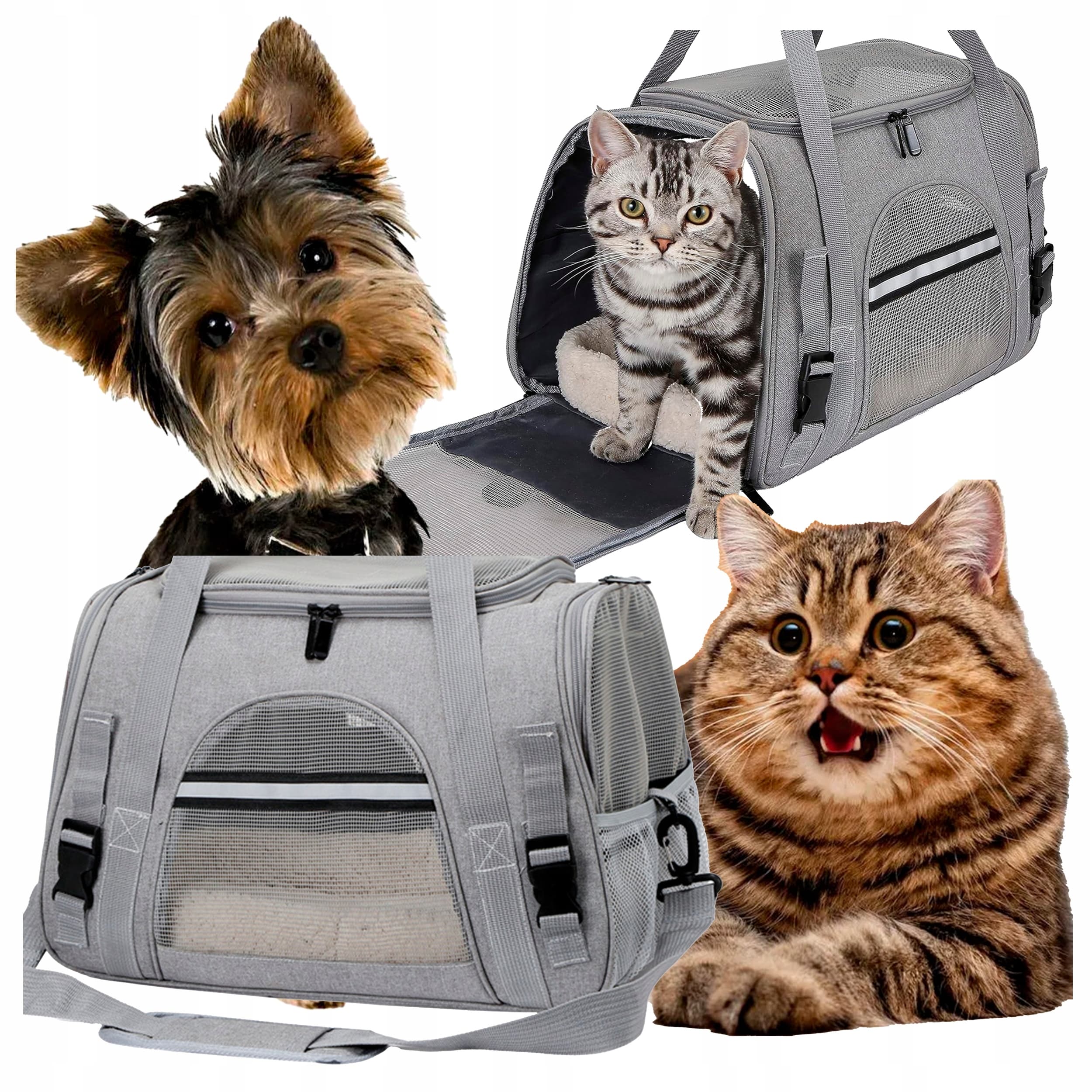 Transporter dla psa i kota